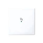 ABB Busch-Jaeger - F@home, KNX, Balance Bed.element / centr.pl. schakelmat. 6220-0-0359