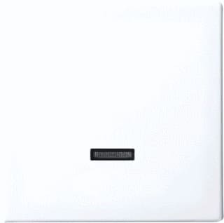 ABB Busch-Jaeger - Balance Bed.element / centr.pl. schakelmat. 6599-0-3018