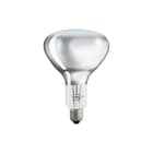 Philips - Infrared Industrial IR-lamp Br125 Ir 250W E27 Cl 1Ct/10