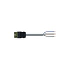 Wago - Patchkabel inst.bare gebouwinstall. 771-9994/206-205