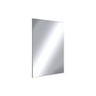 Delabie - Spiegel Onbrkbr Spgl 10X500X600Rvs