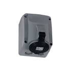 Legrand - P17 Tempra Pro CEE-contactdoos combinatie opb. wcd 500v 32a 4p ip44