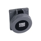 Legrand - P17 Tempra Pro CEE-contactdoos, aanbouw Inb Wcd 500V 32A 4P Ip67