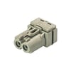 Miniatuur 1
