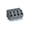 Miniatuur 1