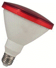 Bailey - LED-lamp led par38 e27 9w rood