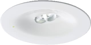 Etap - Noodverlichtingsarmatuur K9R21/3N-230X1