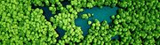 Sustainable collaboration in the supply chain